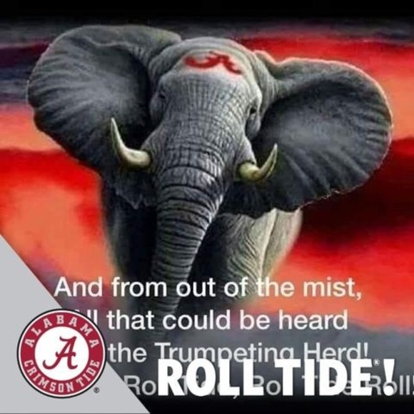 Meet your Posher, Kevin - Picture 1 of 1